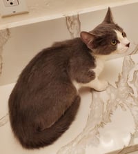 Willow Adair - Photo 4