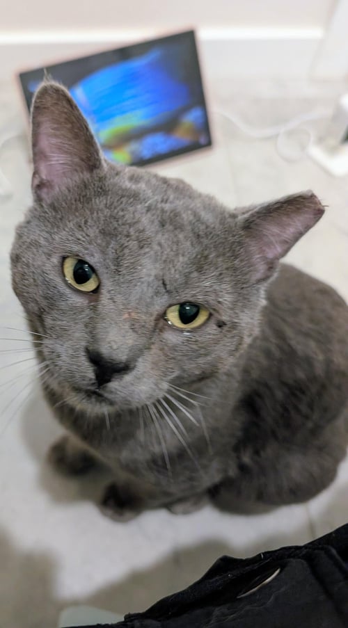 PAUL MCCATNEY AKA SMOKEY