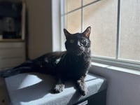 Professor Fuzzbottom - Photo 1