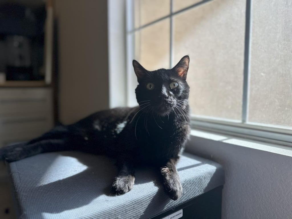 Professor Fuzzbottom Image