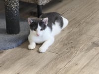 Mootilda Mooie - Photo 1