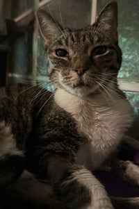 Abbie Spitell - Photo 4