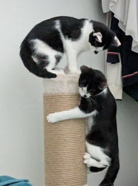 Richeh Lighthouse Bonded With Eunie - Photo 4