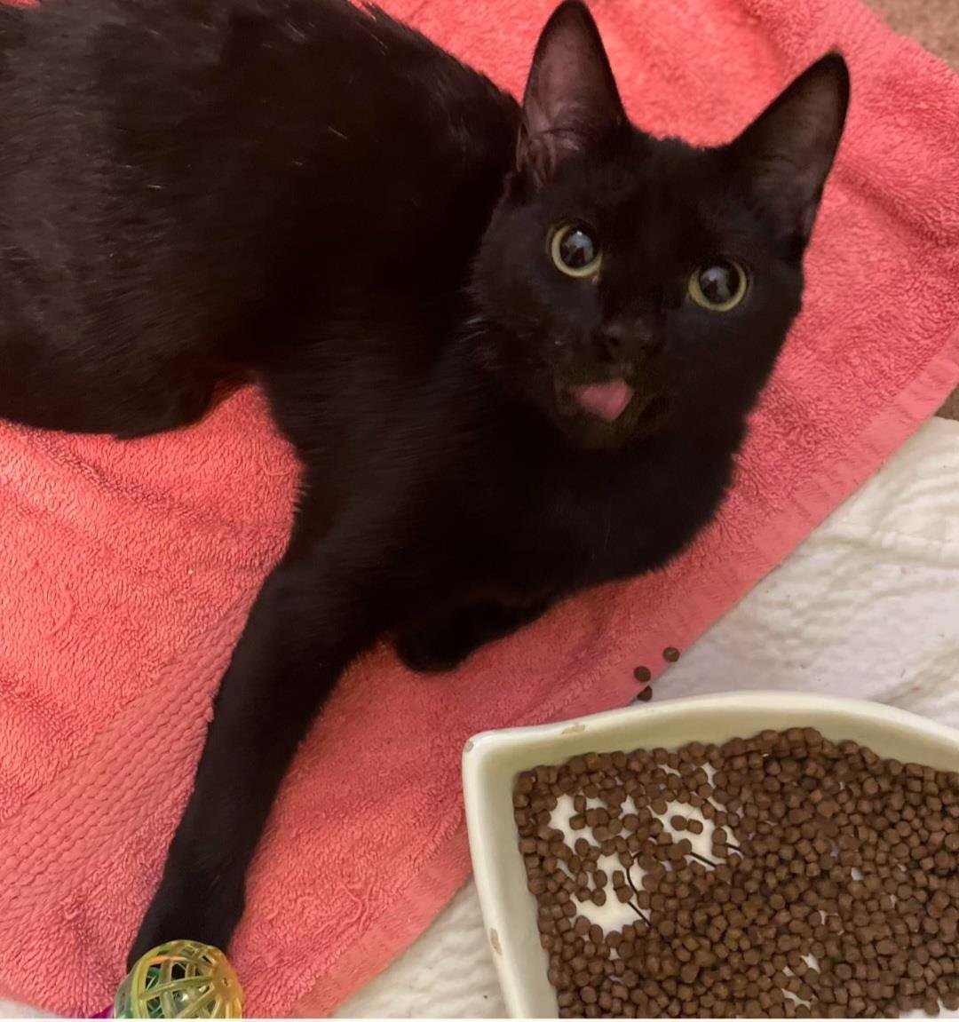 Tessa Wobli - Photo 3