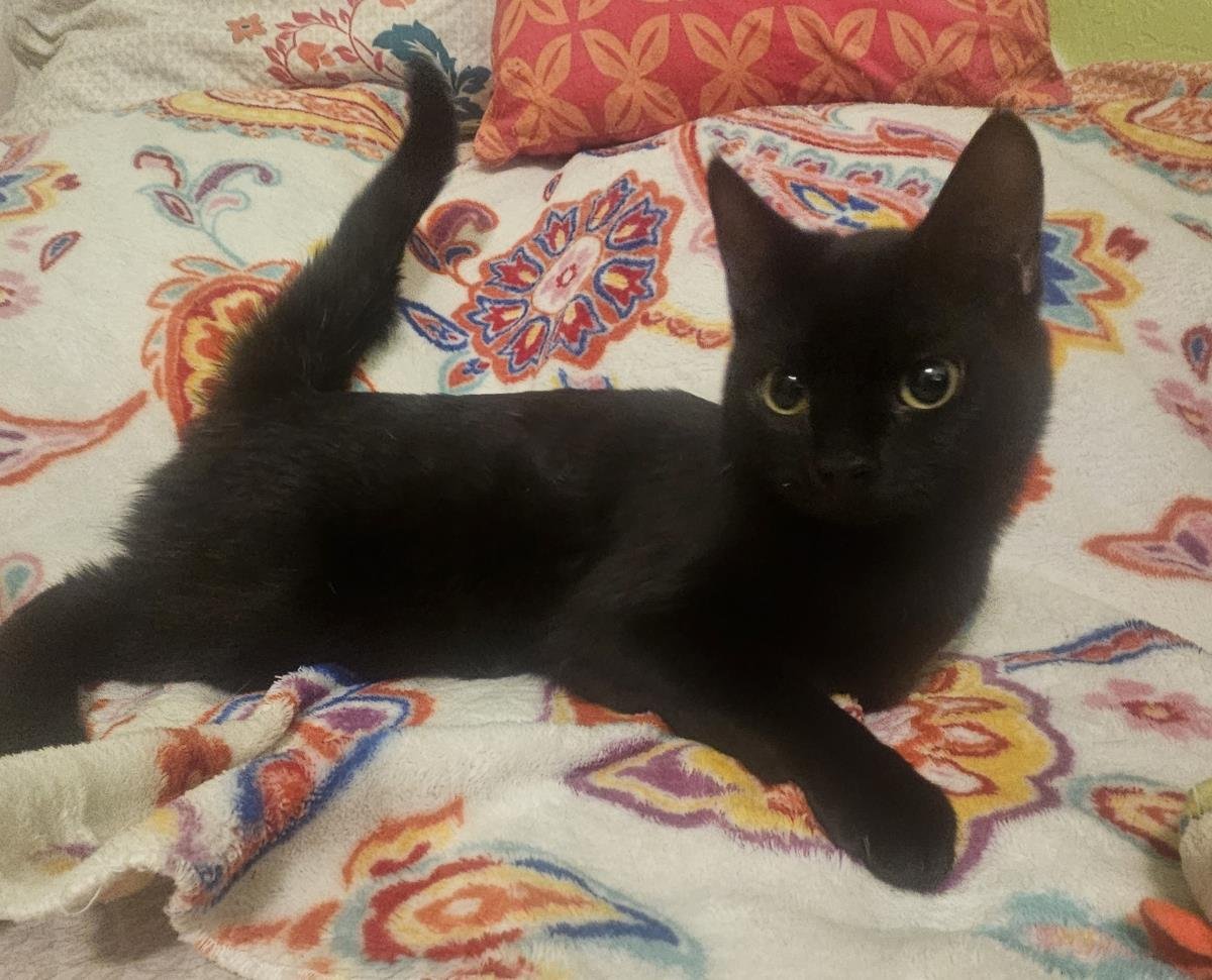 Tessa Wobli - Photo 4