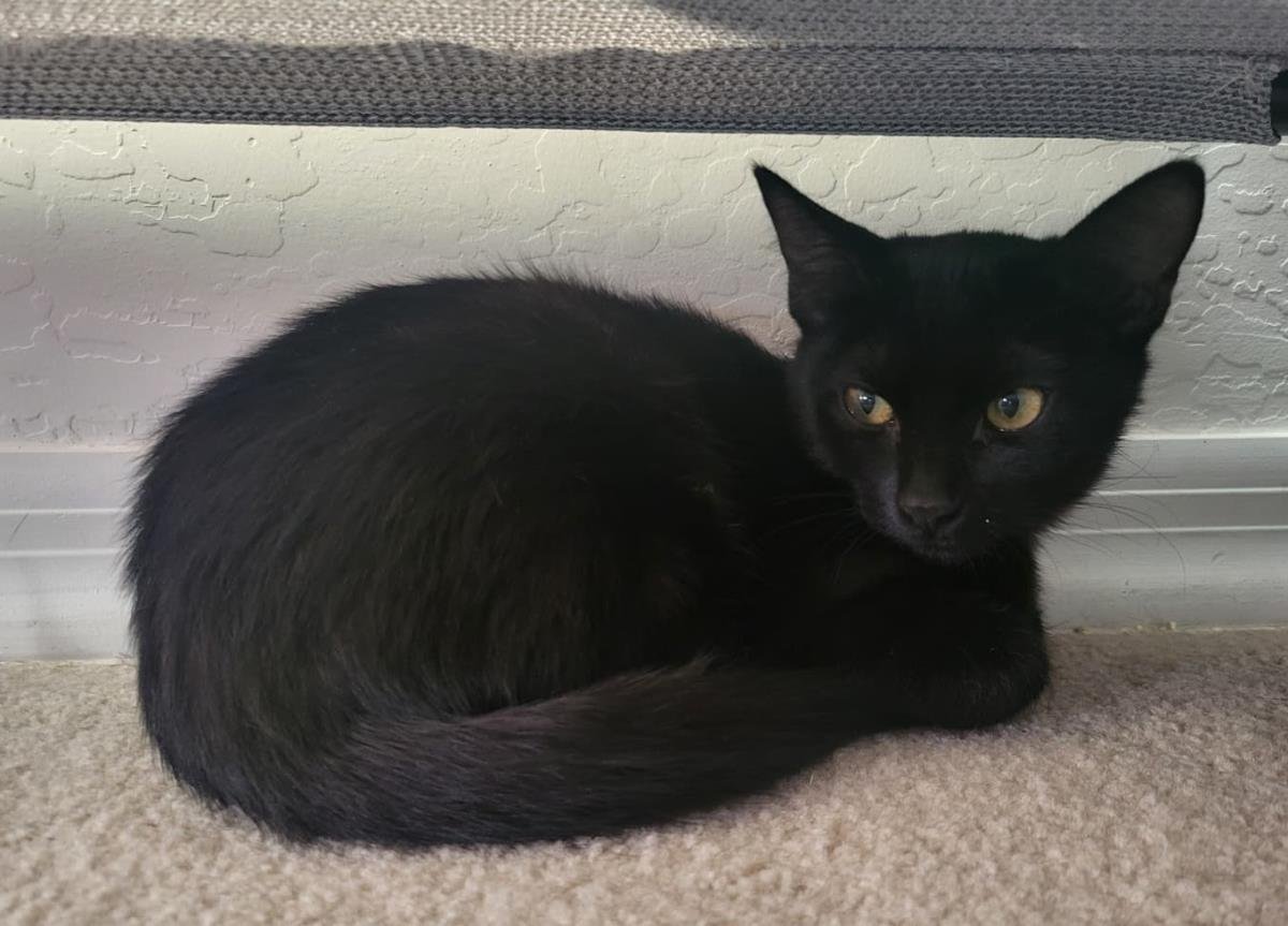 Chanel Outlette - Photo 3