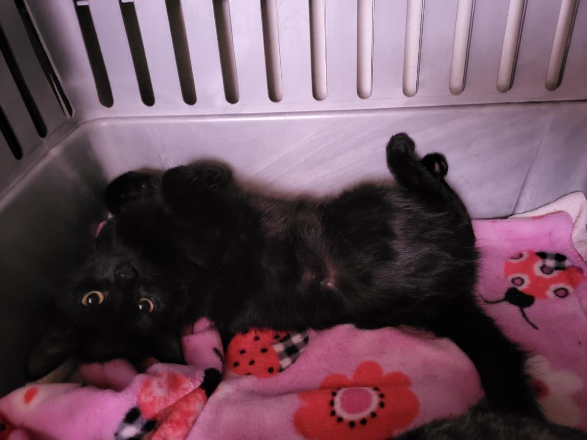 Chanel Outlette - Photo 4