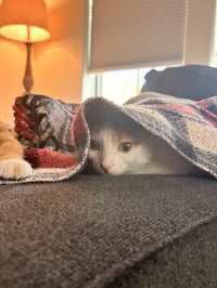 Nali Celeste - Photo 2