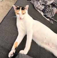 Nali Celeste - Photo 3