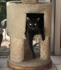 Pawla Abdul - Photo 4
