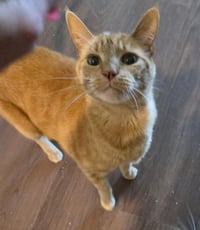 Jackie Marigold - Photo 4