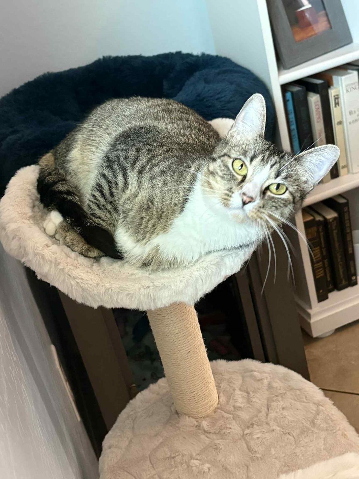 Maisie Moo - Photo 4