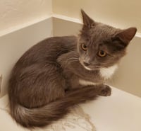 Bekham Adair - Photo 2