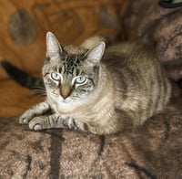 Bernie Blueberry - Photo 1