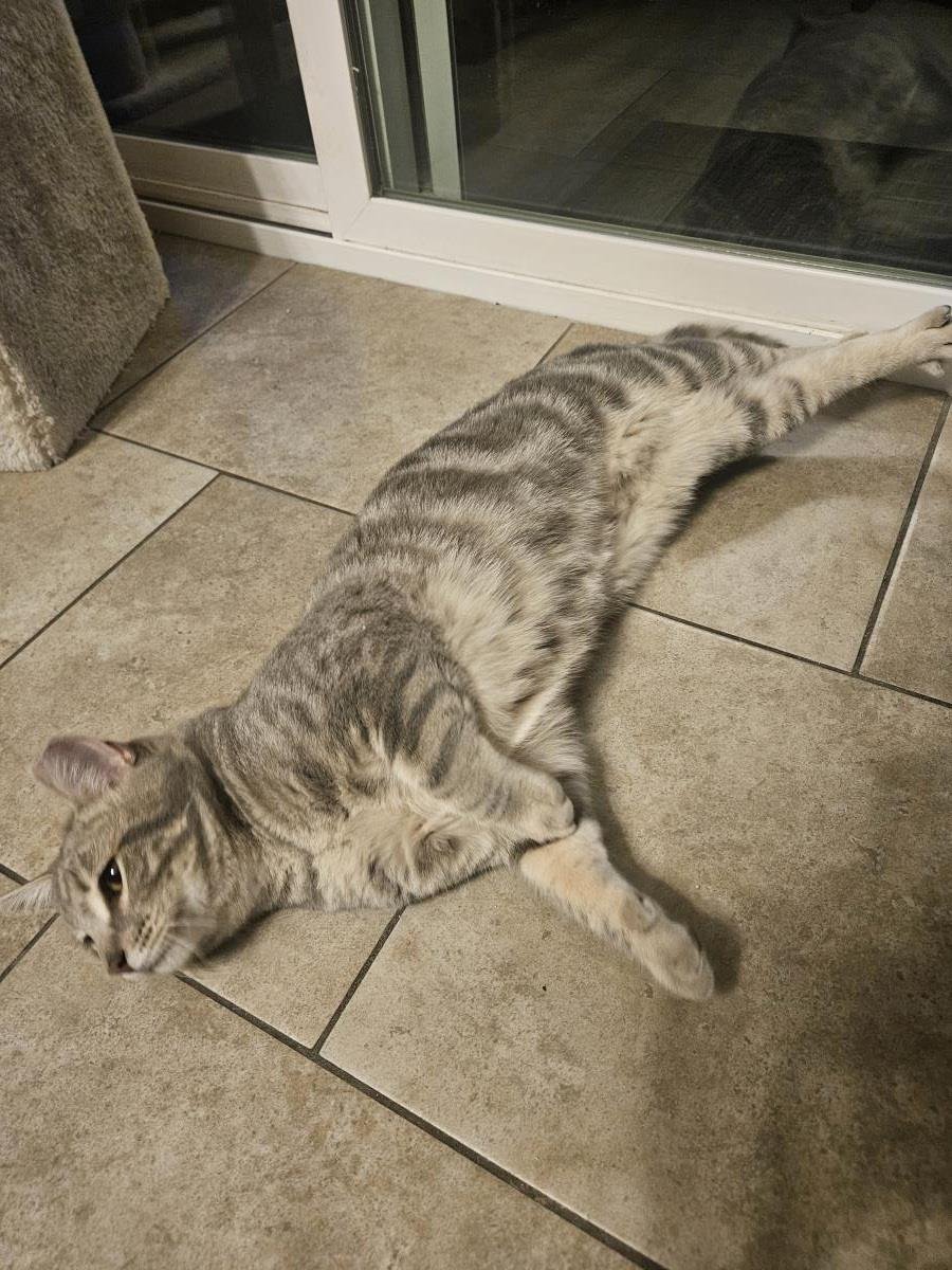 Grafico Jimenez - Photo 4