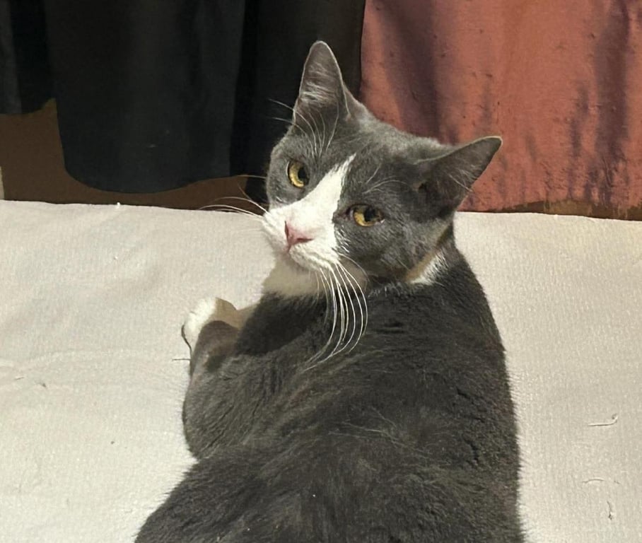 Sabine Obispo Bonded To Biff Obispo Image