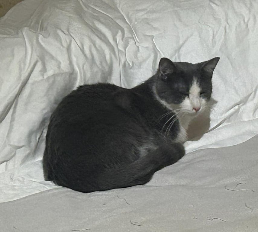 Biff Obispo Bonded Sabine Obispo Image