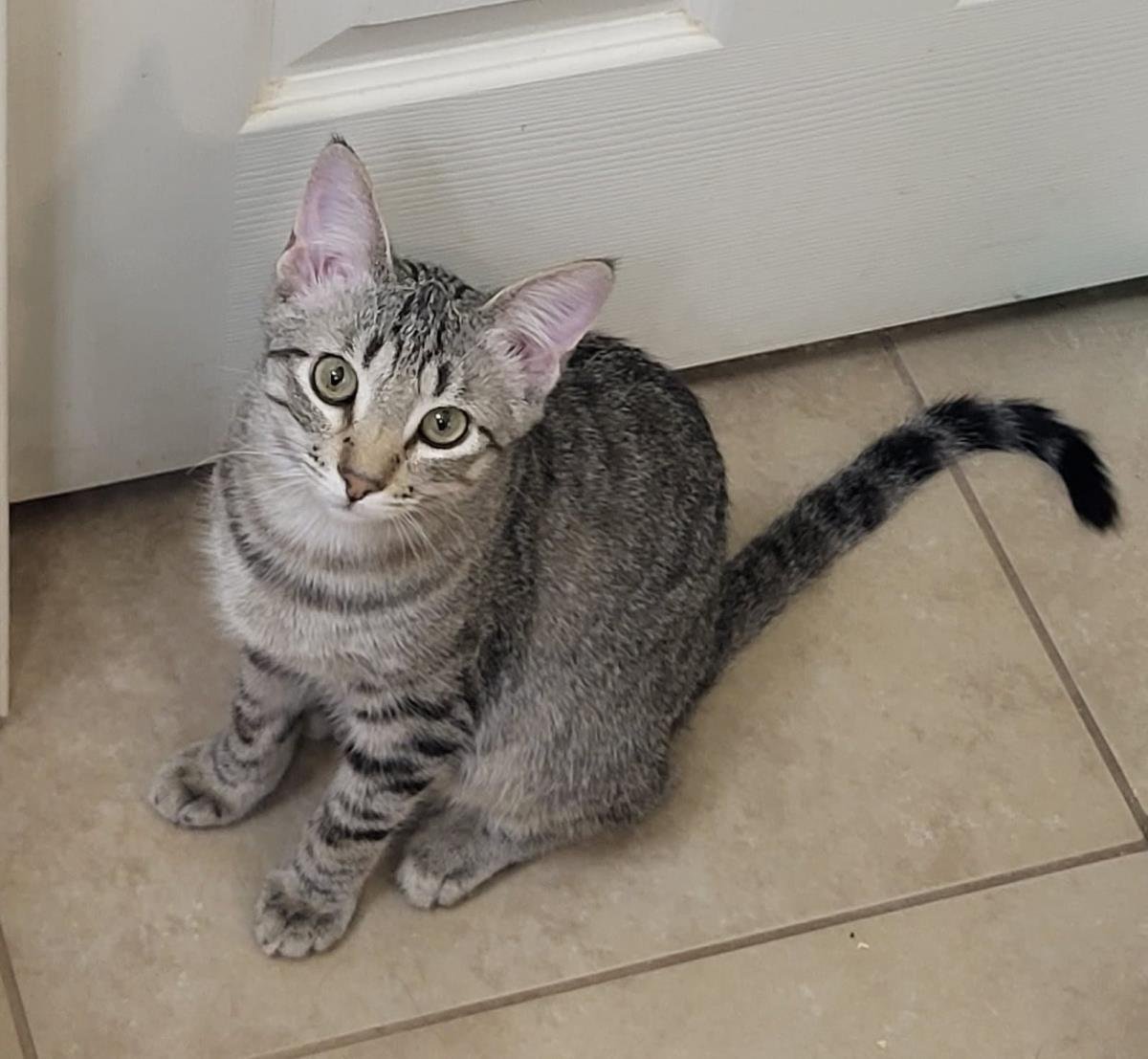 Cartier Outlette - Photo 3