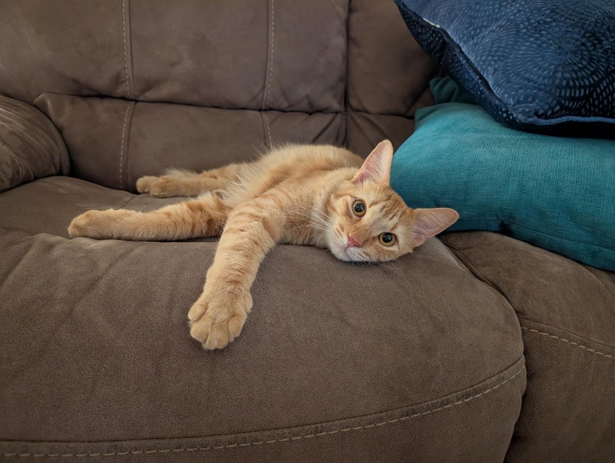 Kyle Good-Looking - Photo 3