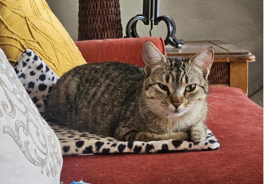 Selena Jimenez - Photo 3