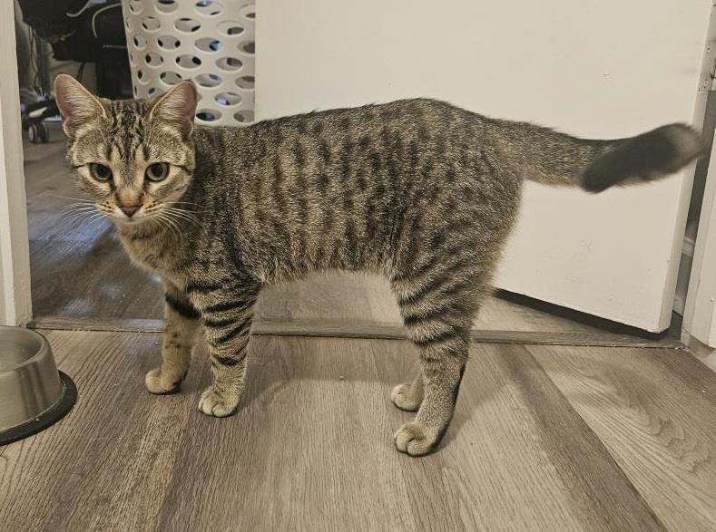 Selena Jimenez - Photo 4