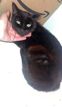 Georgie Park - Photo 3