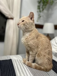 Heathcliff Almanza - Photo 3