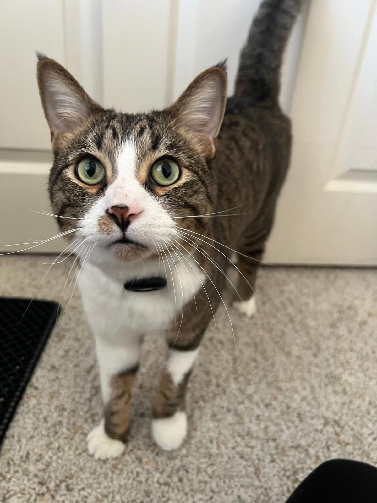 Winnie Rumble - Photo 3