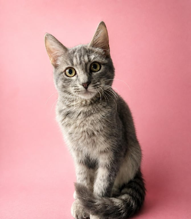 Leeloo Ewadar Image
