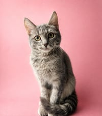 Leeloo Ewadar - Photo 1