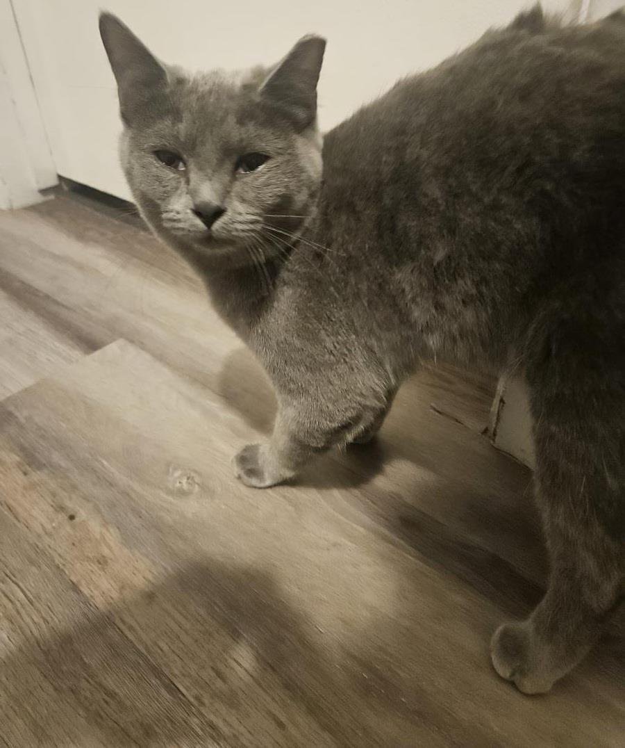 Plomo Jimenez - Photo 3