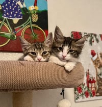 Kaylor Loveisland - Photo 2