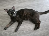 Morgan Furrman - Photo 2
