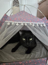 Morgan Furrman - Photo 3