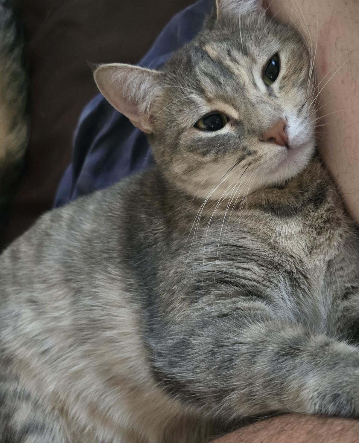 Ember Honeybun Bonded With Bruce Honeybun - Photo 3