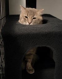Smokey Burke - Photo 3
