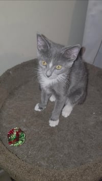Murphy Southern - Photo 2