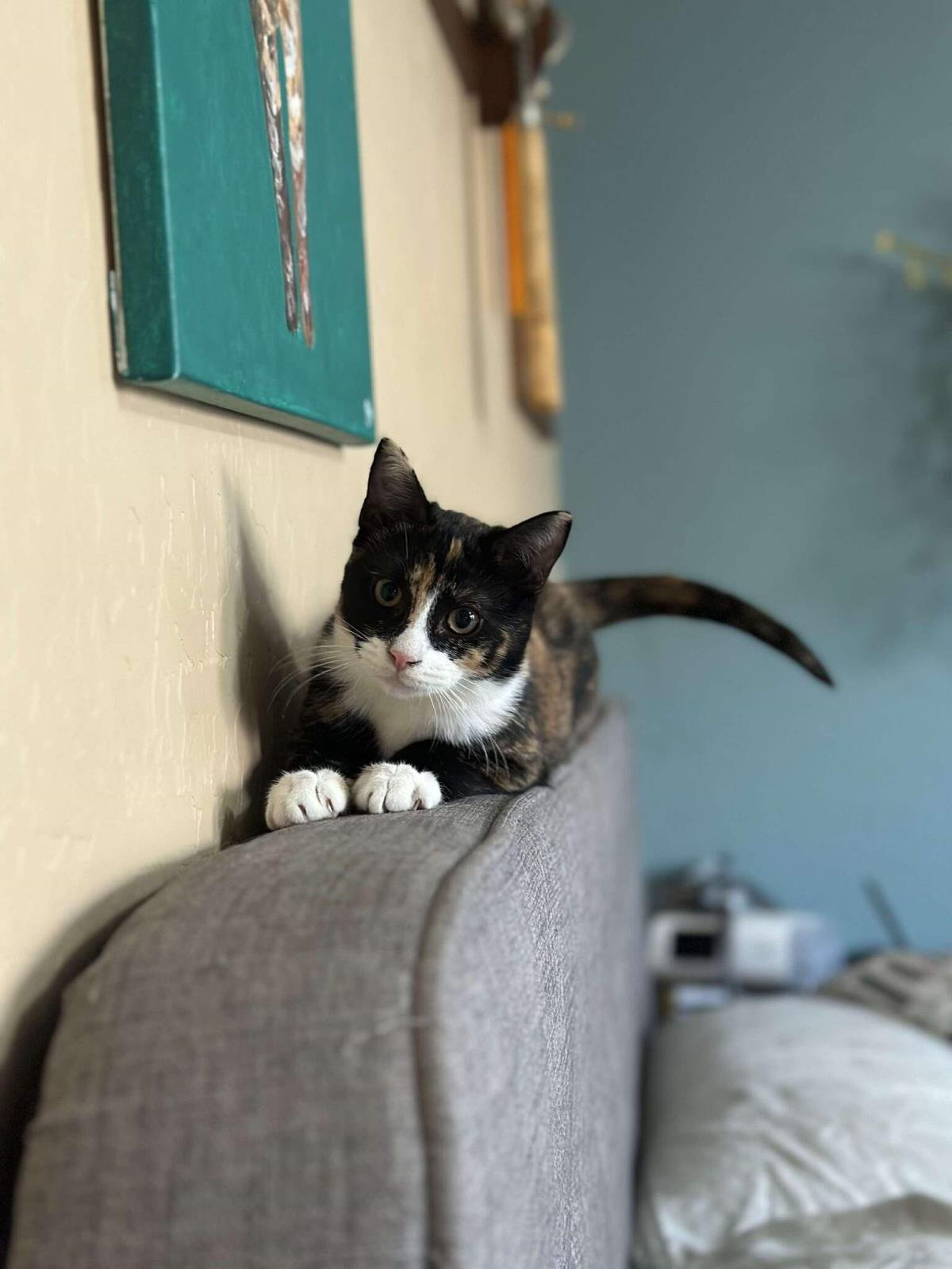 Pot Pie Foodie - Photo 4