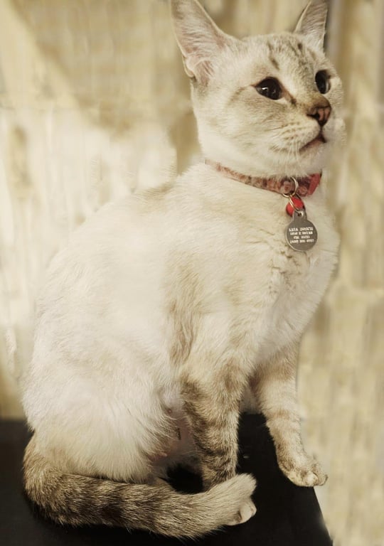 Beryl Streep Image