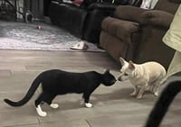 Becky Biscuits - Photo 2