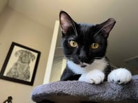 Becky Biscuits - Photo 3