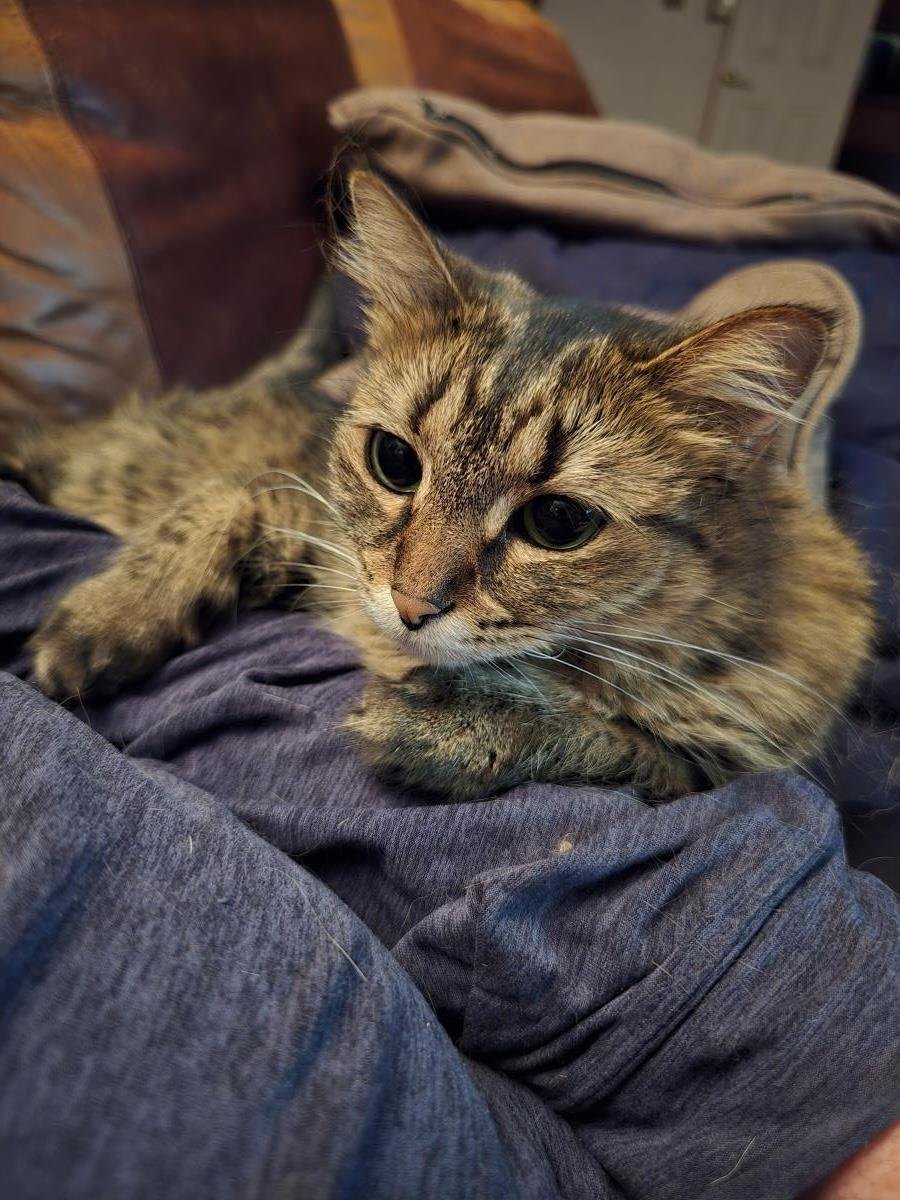 Charles Honeybun - Photo 3