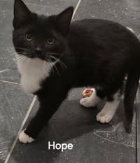 Hope - Photo 1