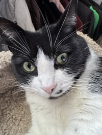 MONROE -#1873 - Offered by Owner- B & W Beauty - Photo 3