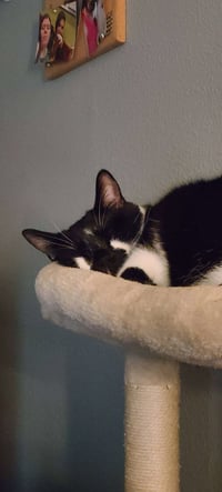 TYRION #1887 - Offered by Owner - Photo 4