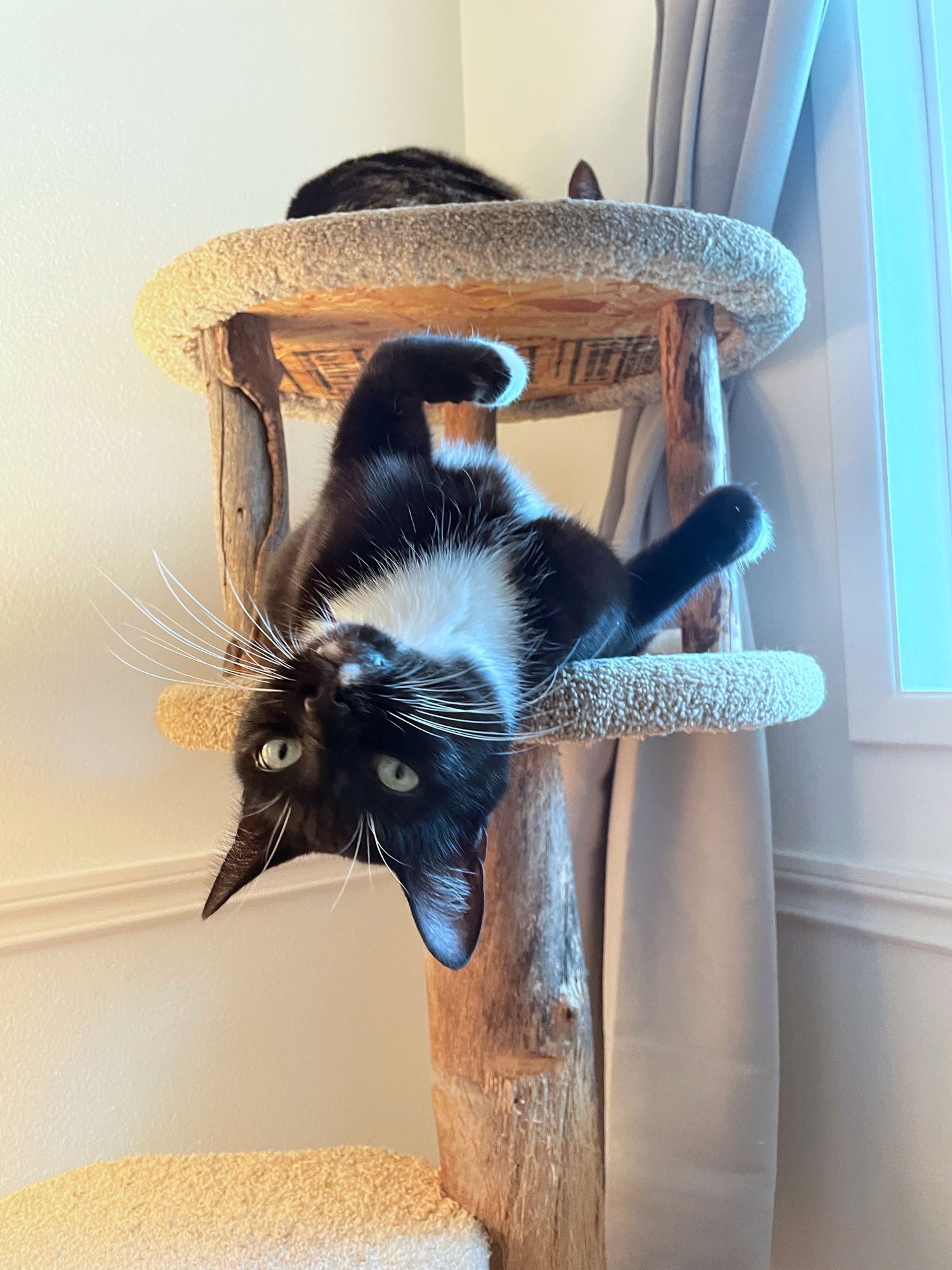 LUPINE #1826 _ Offered by Owner - Friendly in/out - Photo 2