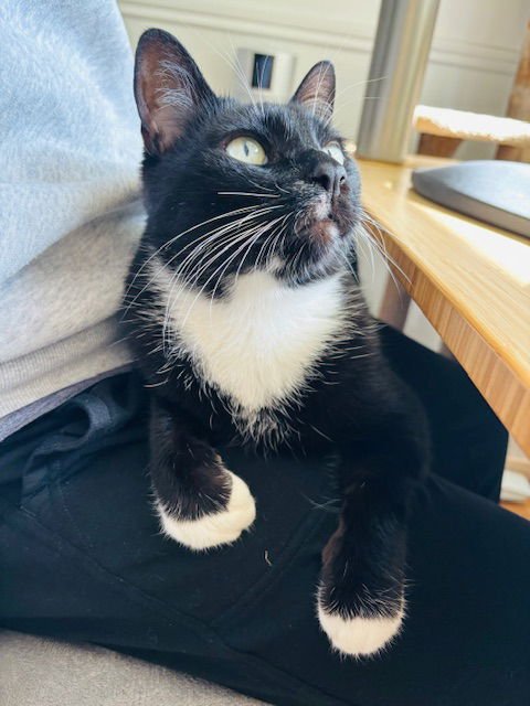 LUPINE #1826 _ Offered by Owner - Friendly in/out - Photo 3