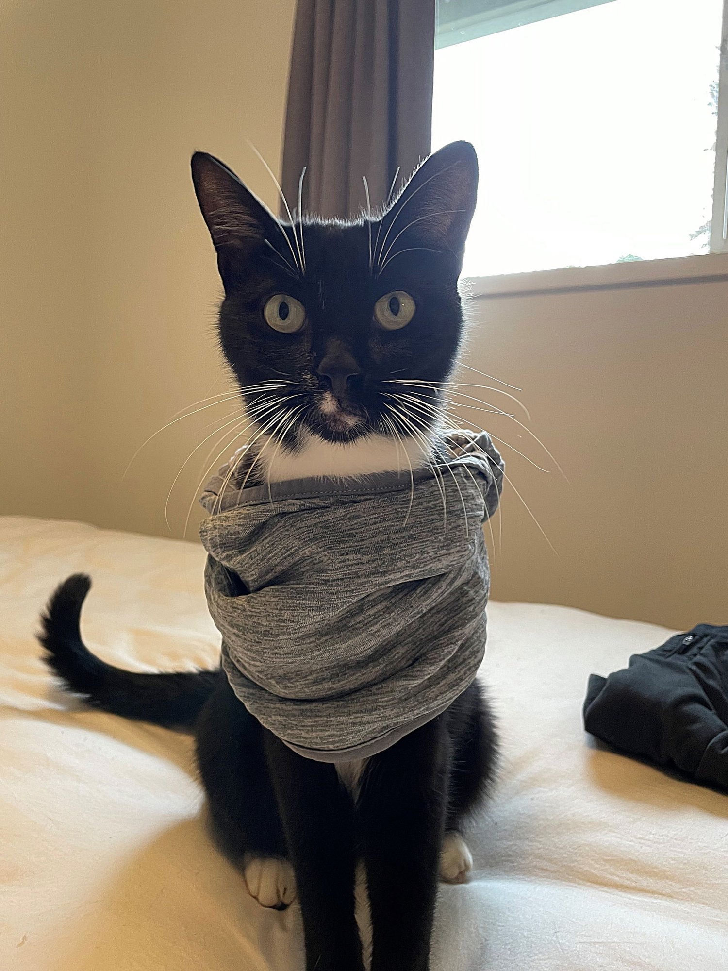 LUPINE #1826 _ Offered by Owner - Friendly in/out - Photo 4