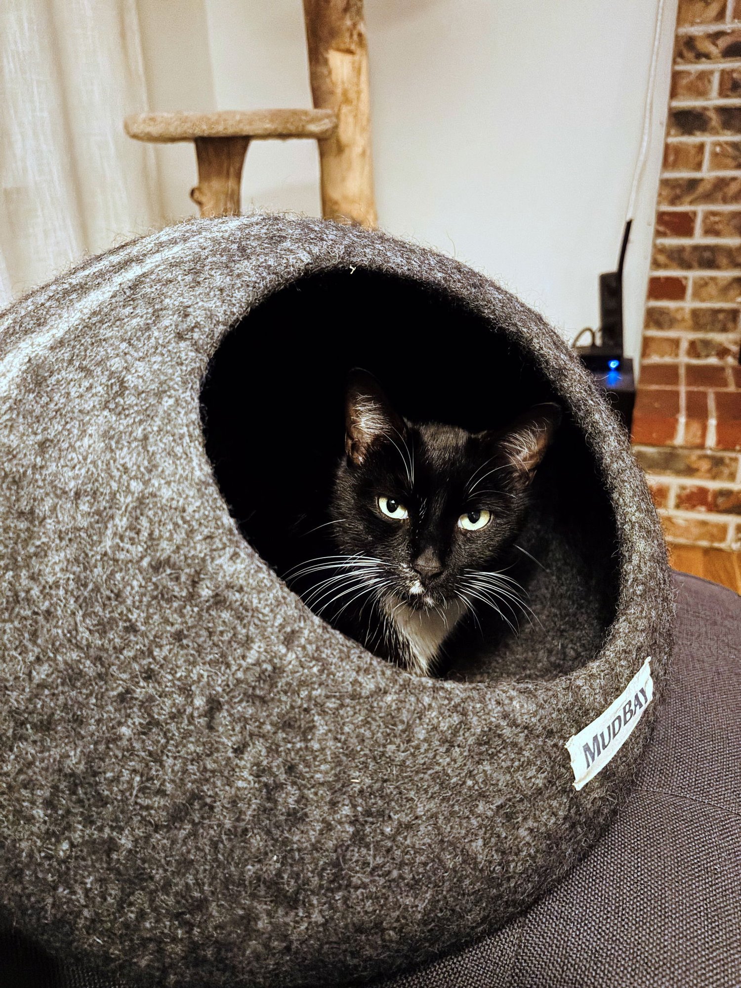 LUPINE #1826 _ Offered by Owner - Friendly in/out - Photo 5