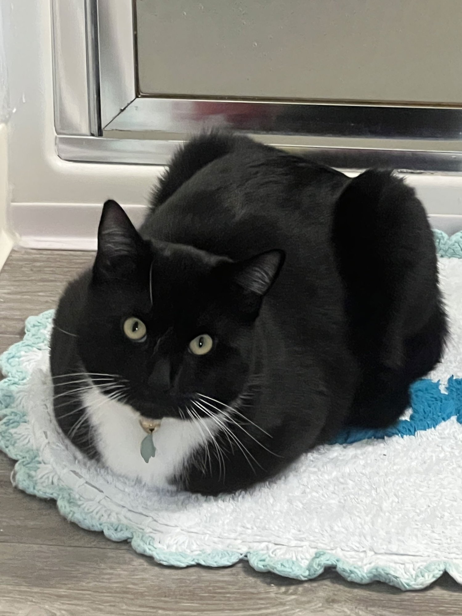 EARL  #1832- Offered by Owner - A family guy! - Photo 2
